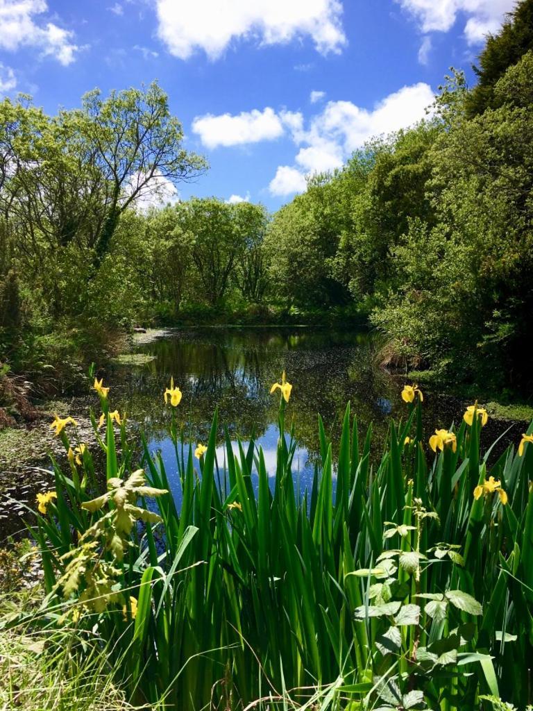 Trecombe Lakes 캠본 객실 사진