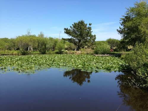 Trecombe Lakes 캠본 외부 사진